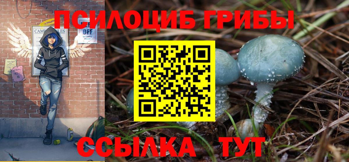 цены   Псилоцибиновые грибы мухоморы  Вход с VPN  Химки 