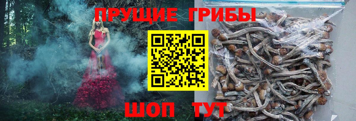 Галлюциногенные грибы прущие грибы Химки